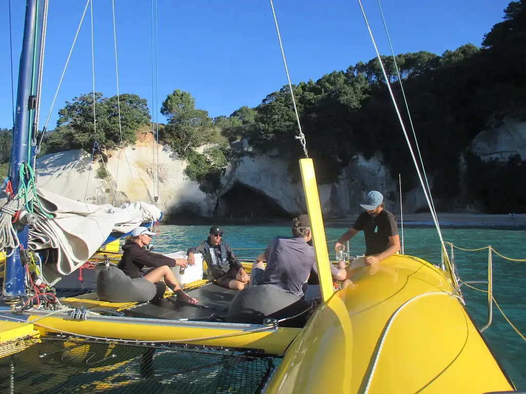 Arvo of Goodness Chilled-Out Coromandel Sail