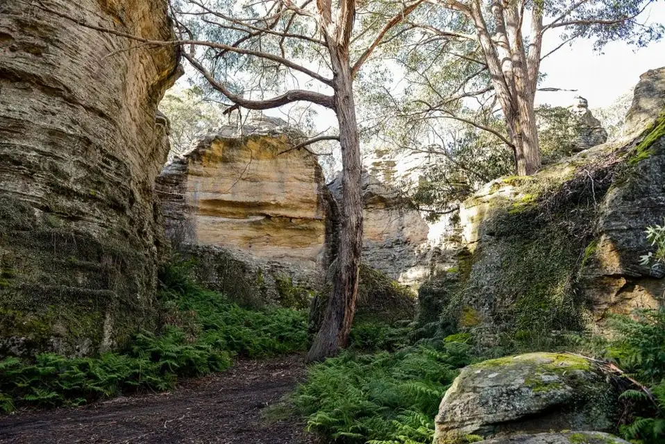Wollemi 4WD & Glow Worm Tunnel Adventure Tour