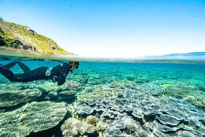Great Keppel Island Day Trip + Lunch