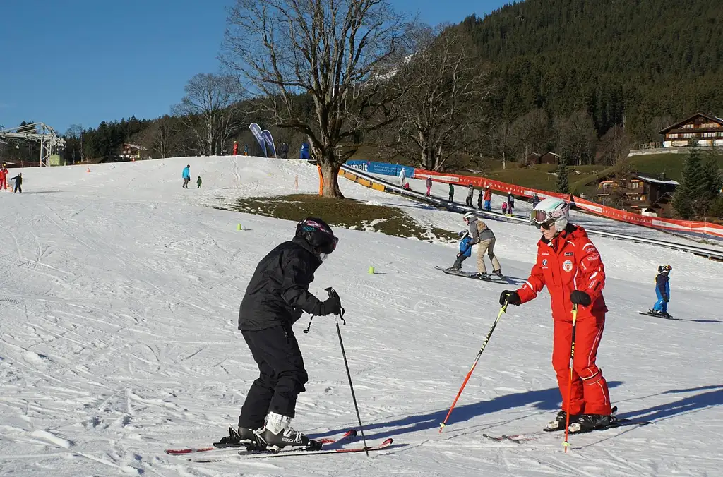 Swiss Ski Experience from Zurich