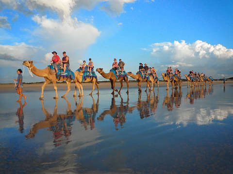 Camel tours Broome