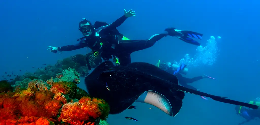 Yongala Day Trip – Certified Diver