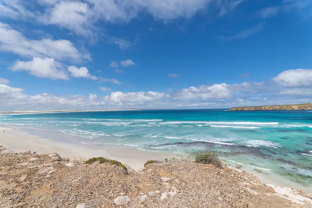 Coffin Bay Oysters & Sightseeing 4WD Tour