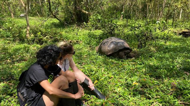 10 Day Galapagos Islands Cruise â€“ East, Central & West Islands