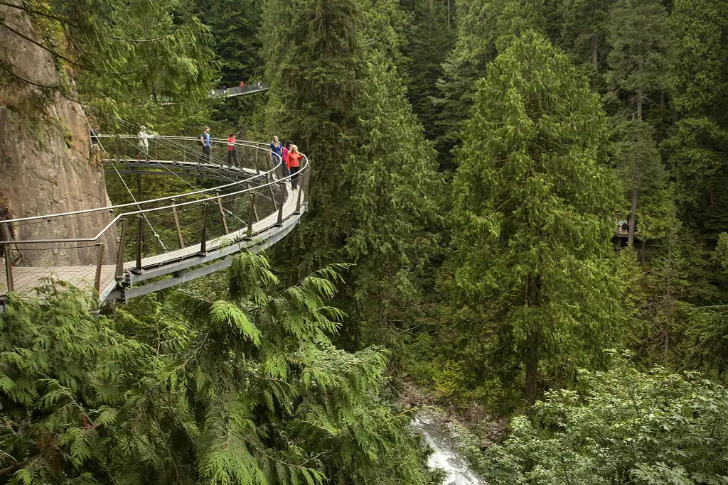Vancouver City and Capilano Suspension Bridge Tour