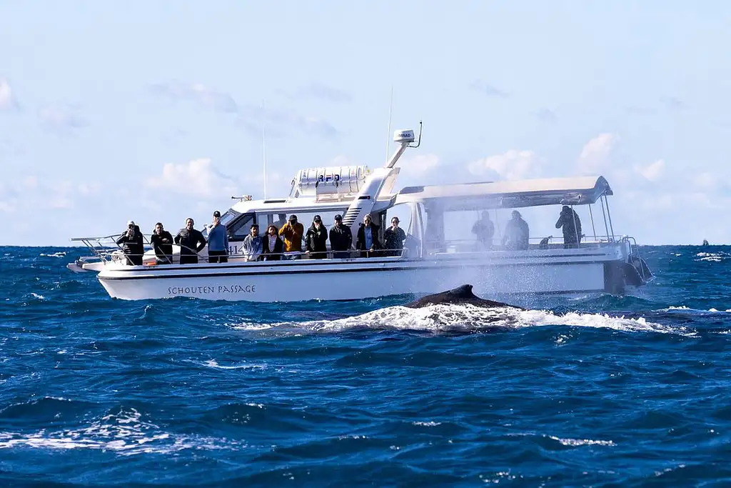 Sydney Whale Watching Experience | Small Ggroup