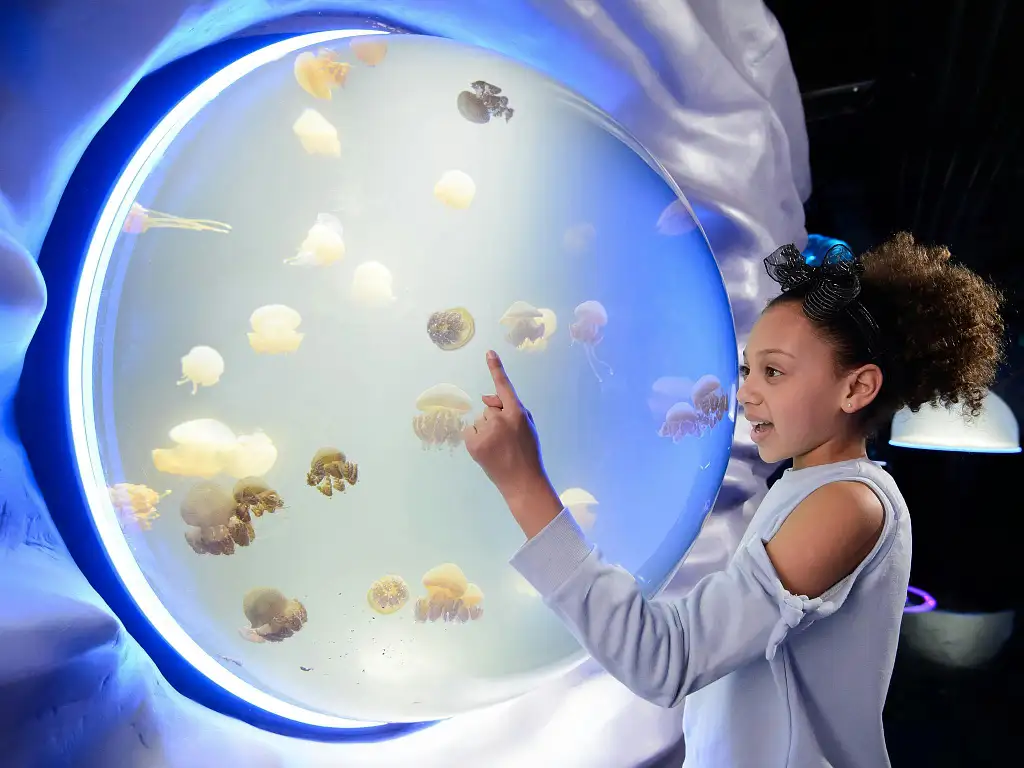 Sea Life London Aquarium | Standard Entry (Off Peak)