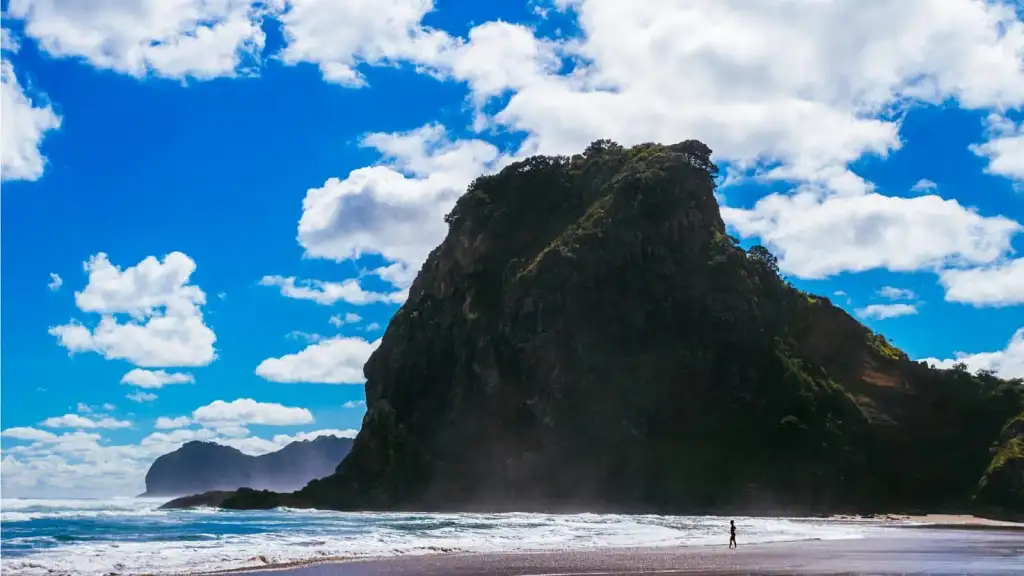 NZ West Coast Discovery Day Tour | Auckland