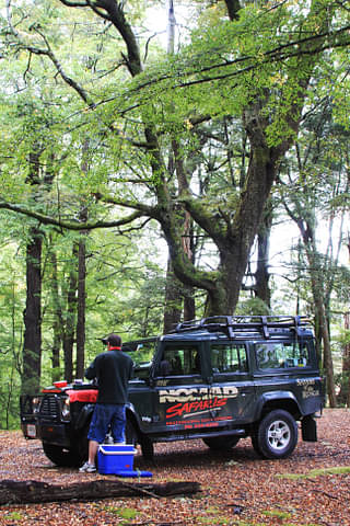 Queenstown safari promo code