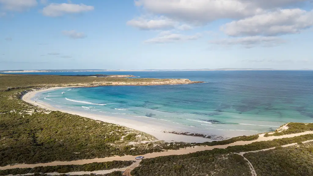 Port Lincoln Day Tour