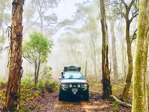 4WD tours