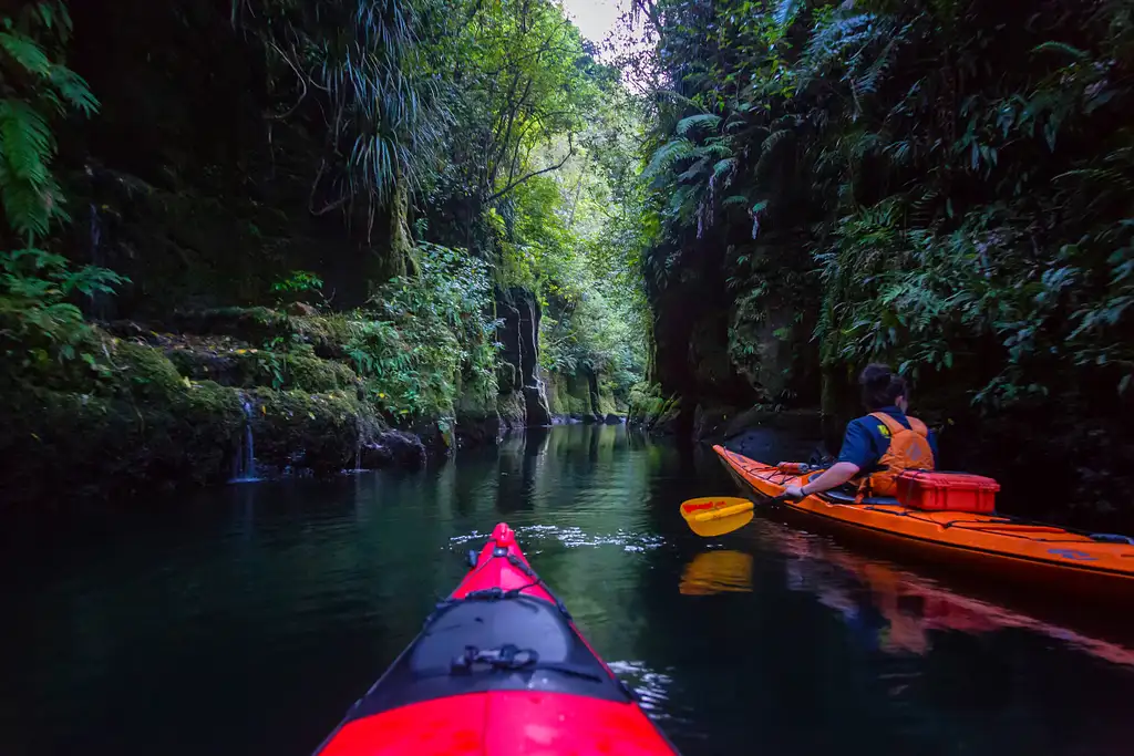 Scenic Lake Mclaren Kayak Tour