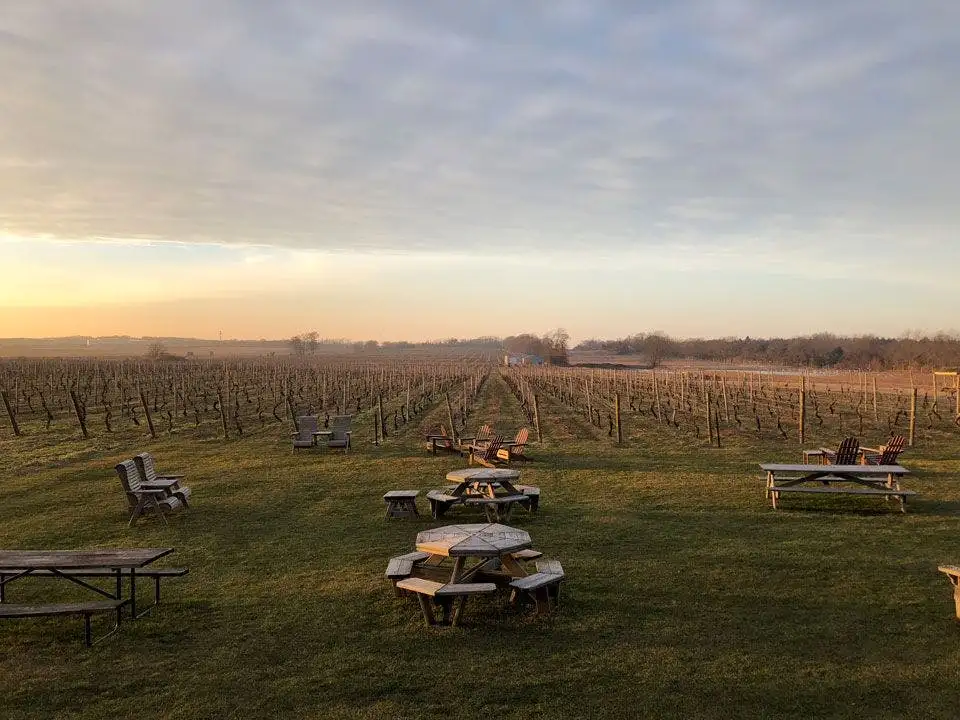 Wine Tasting Day Trip From NYC