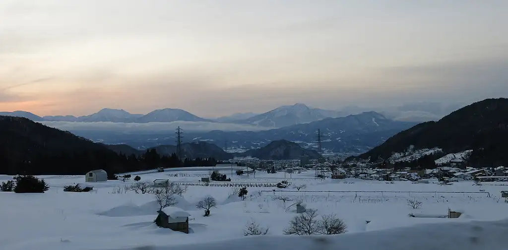 Snow Monkeys & Snow Fun In Shiga Kogen, 1 Day Tour