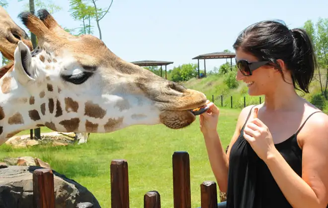AUSTRALIA ZOO Transfer including Entry Ticket | Sunshine Coast