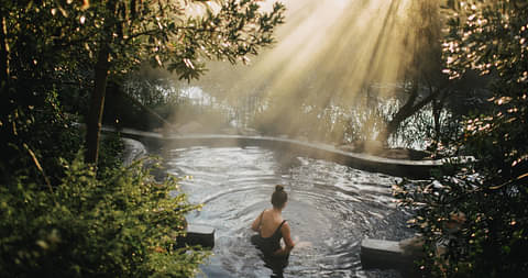 mornington peninsula hot springs tour