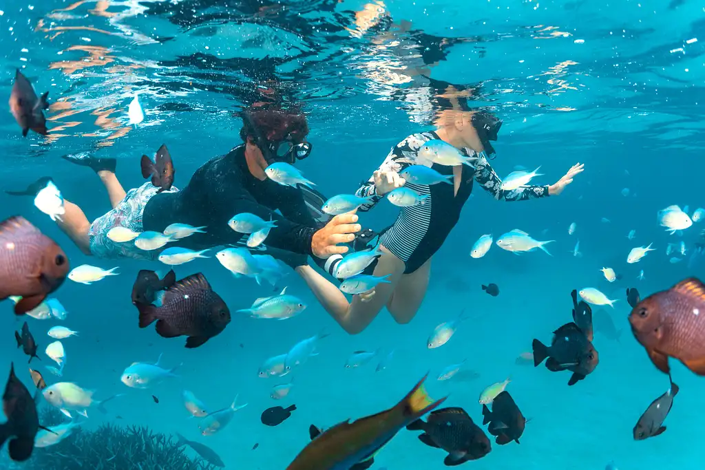 7 Day Maldives Adventure Snorkel Sand Sun | Autopia Tours