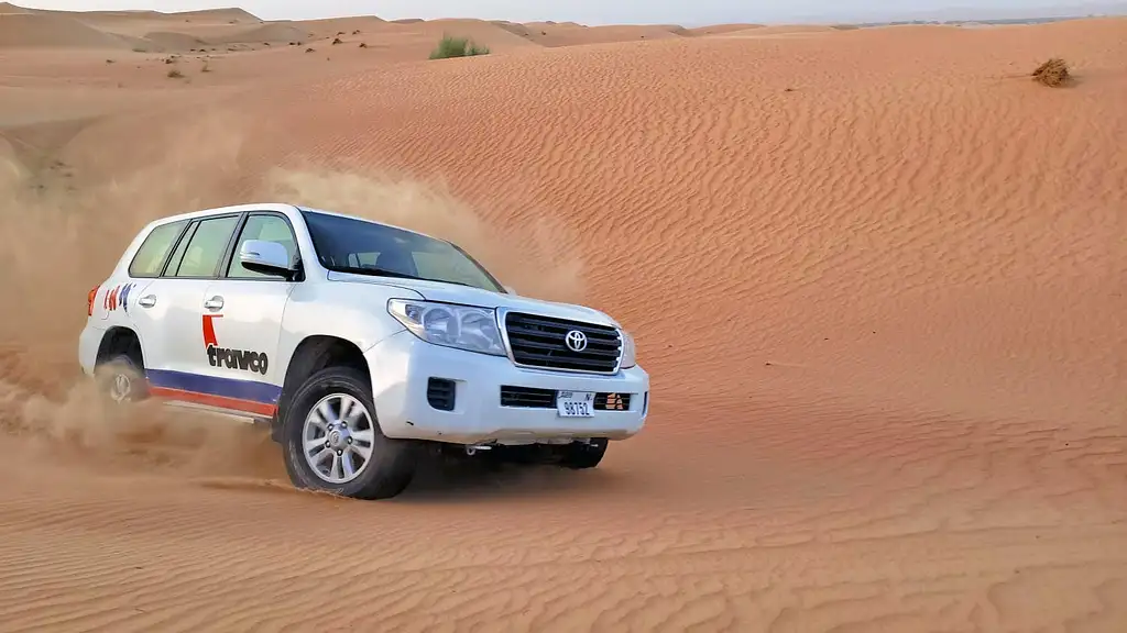 Dubai Desert Safari With BBQ Dinner & Local Driver - Standard ticket