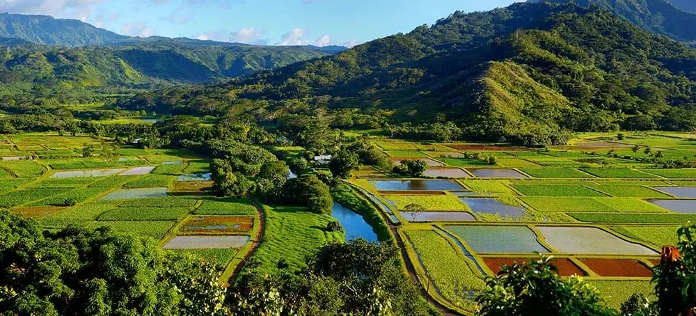 Kauai Movie Adventure Tour