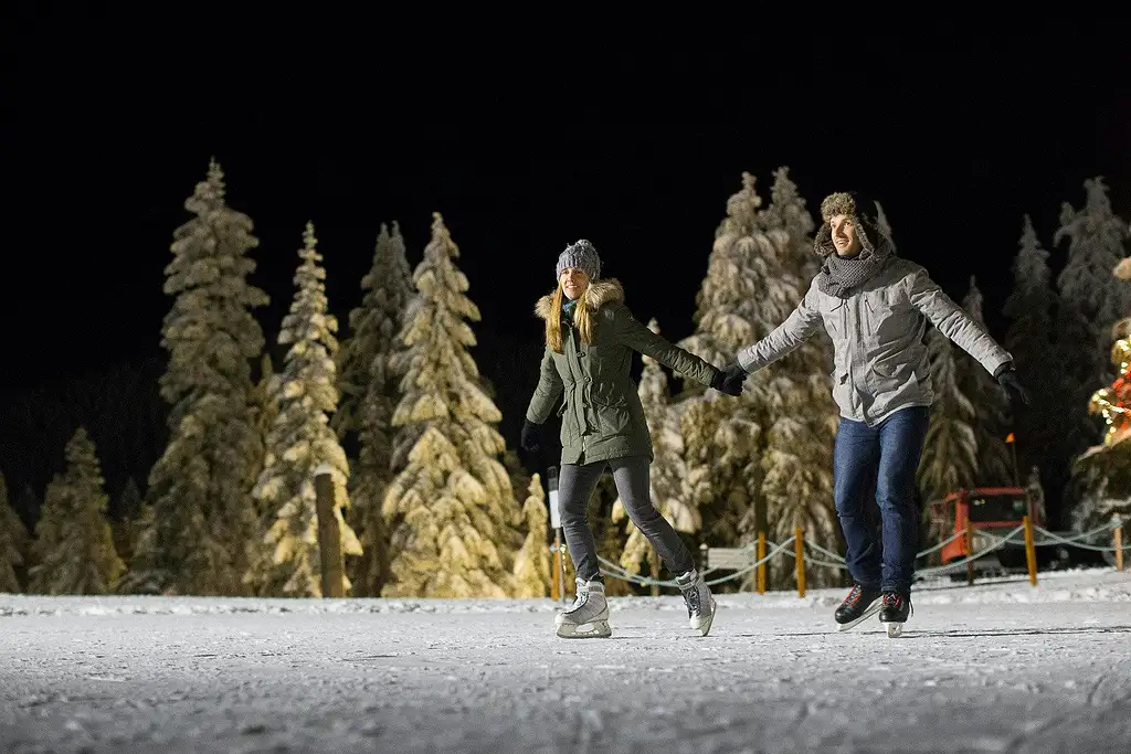 Grouse Mountain Admission Ticket
