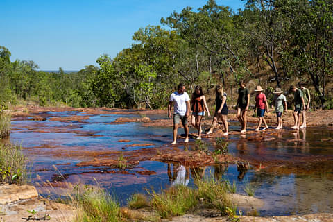 Darwin 5 Day Kakadu Tour Discount