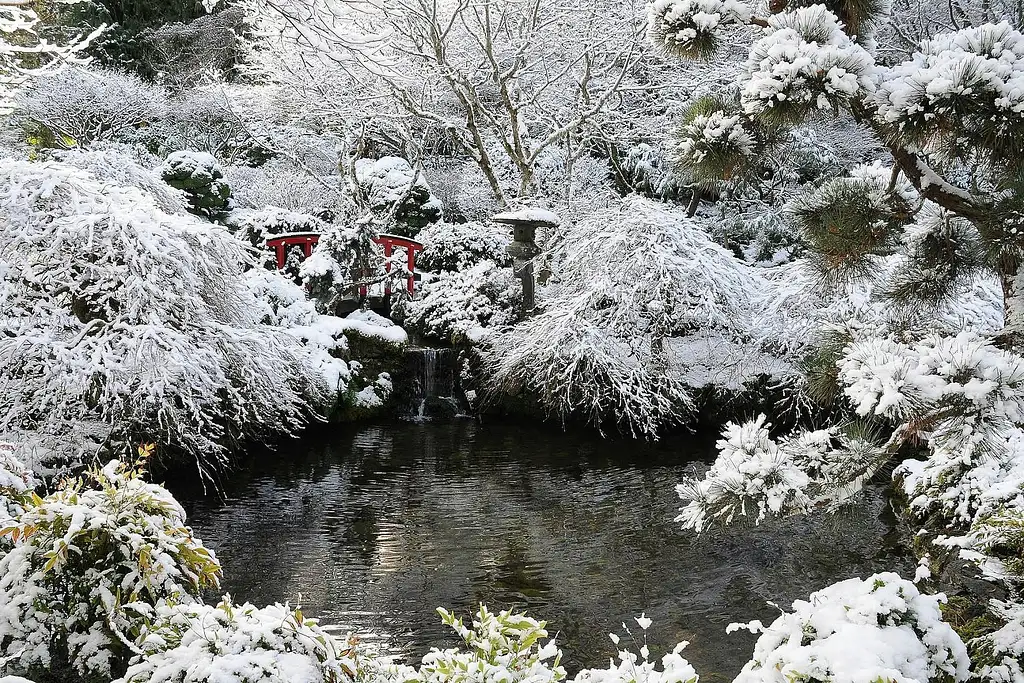 Christmas Guided Tour Of Victoria And Butchart Gardens