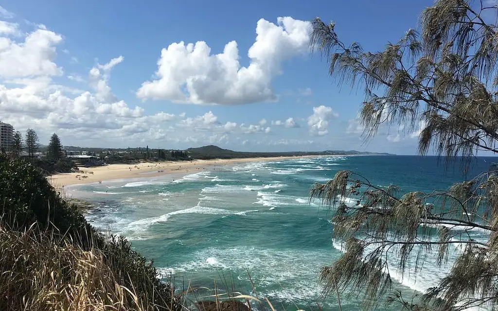 Noosa Everglades Cruise & Highlights with Lunch | Private Tour