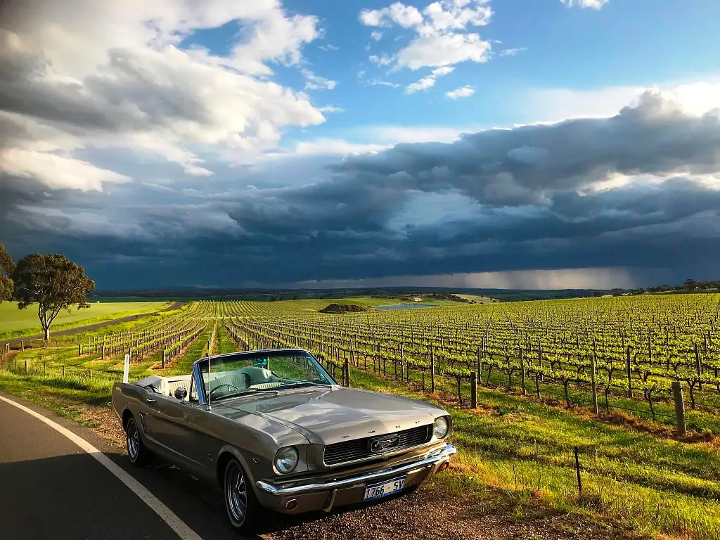 Barossa Valley Tour: Classic Car/Sports Car or Trike