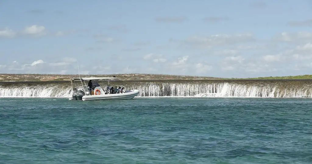 Waterfall Reef Sea Safari | From Cygnet Bay