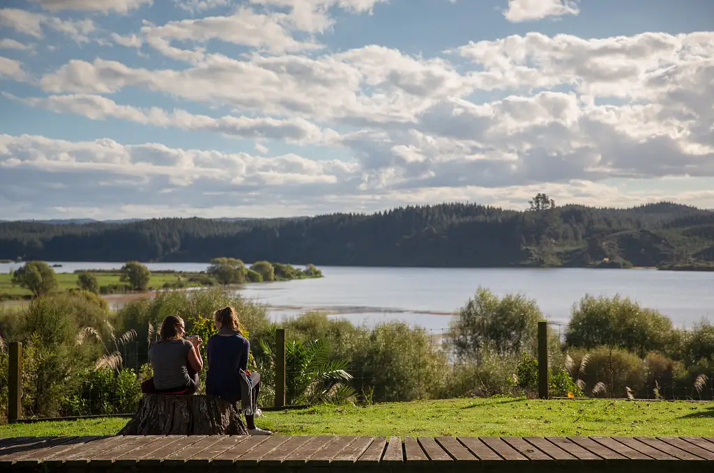 8 Day Pukeko Tour | Auckland to Wellington | Stray