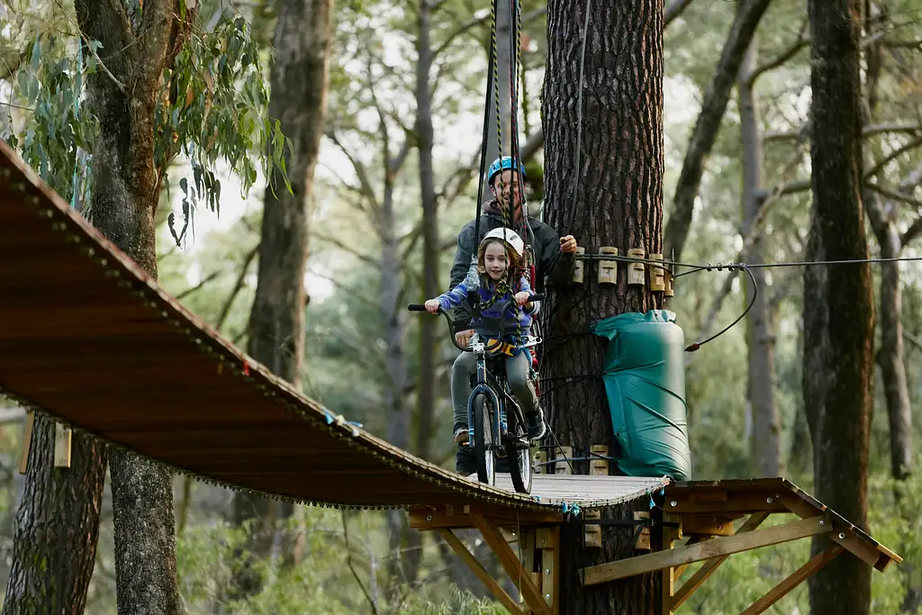 Forest Adventures Park 2.5 Hours Entry