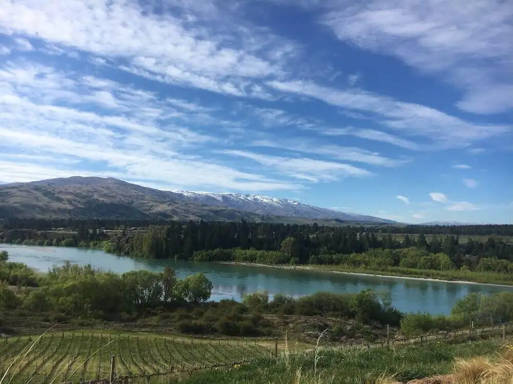 Bannockburn Hop-on Hop-off Wine and Beer Tour | From Queenstown