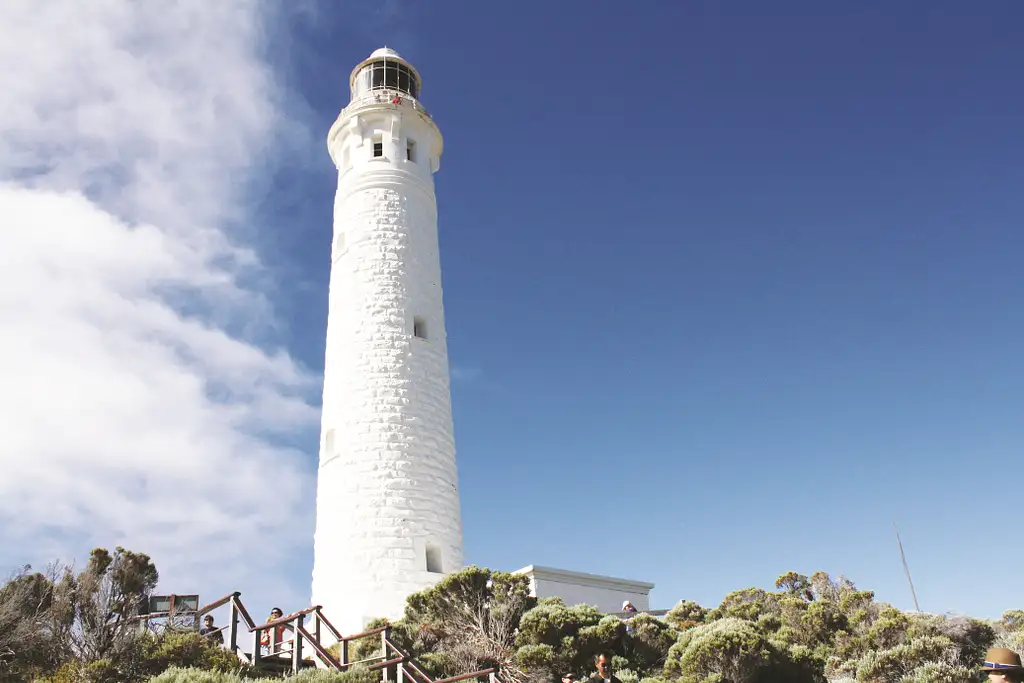 Full Day Margaret River Tour From Perth | Lunch Included