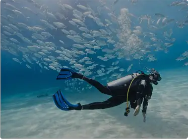 Dive and Snorkelling