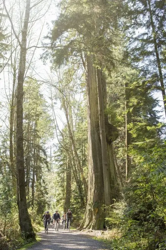 Vancouver Grand Cycling Tour