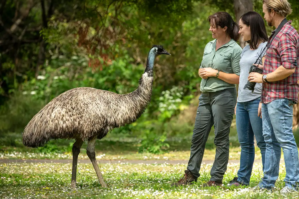 3 Day Great Ocean Road & Grampians Tour | Adelaide to Melbourne
