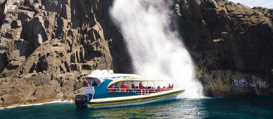 Tasman Island Wilderness Cruise | From Hobart