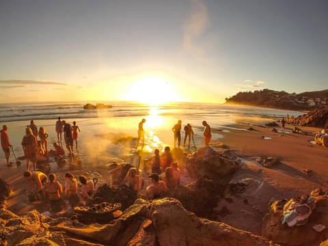 new zealand day tour