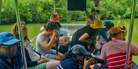 Daintree & Cape Tribulation Tour From Cairns