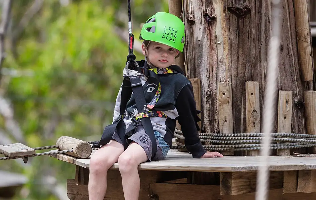 Lorne Short Circuit Treetop Adventure