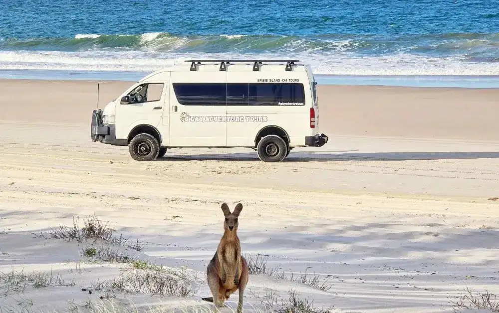 Bribie Island 4WD Adventure Tour | Brisbane