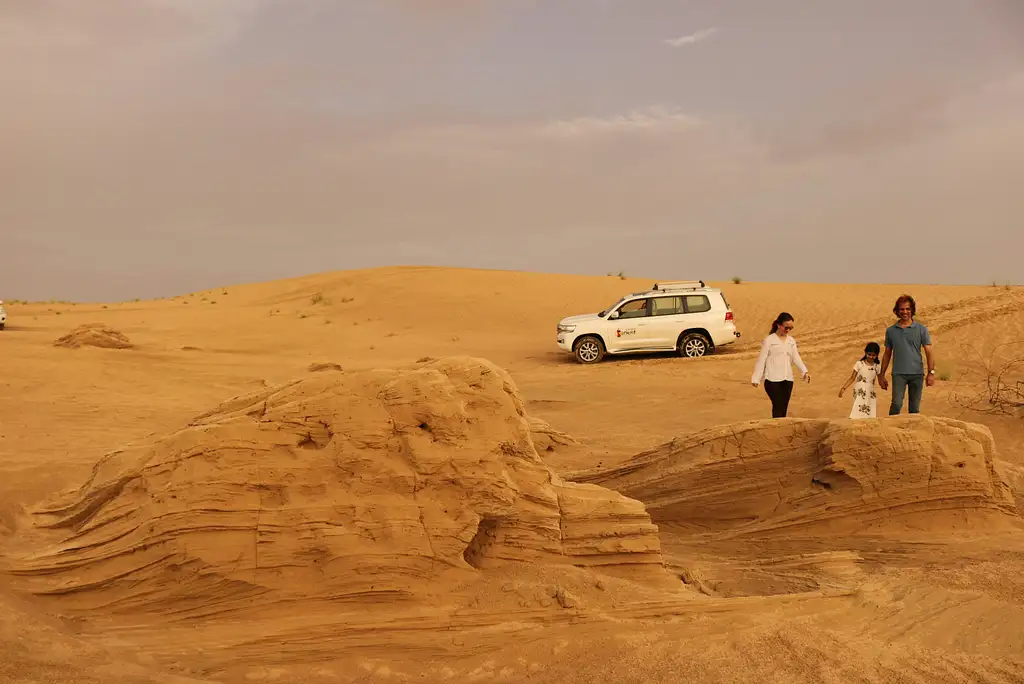 4x4 Sunrise And Wildlife Desert Safari With Picnic From Dubai