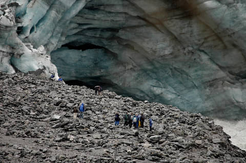 Fox Glacier