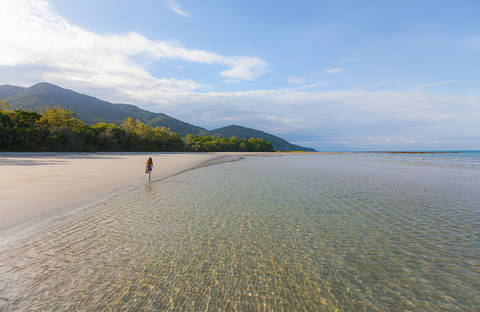 Cape Tribulation and Daintree Wildlife Tour
