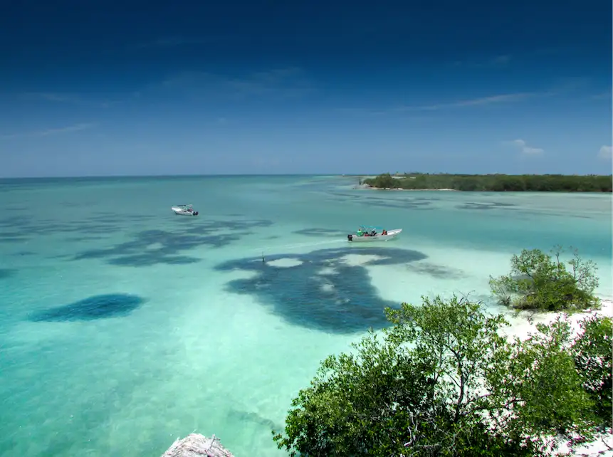 Holbox Island Tour From Cancún