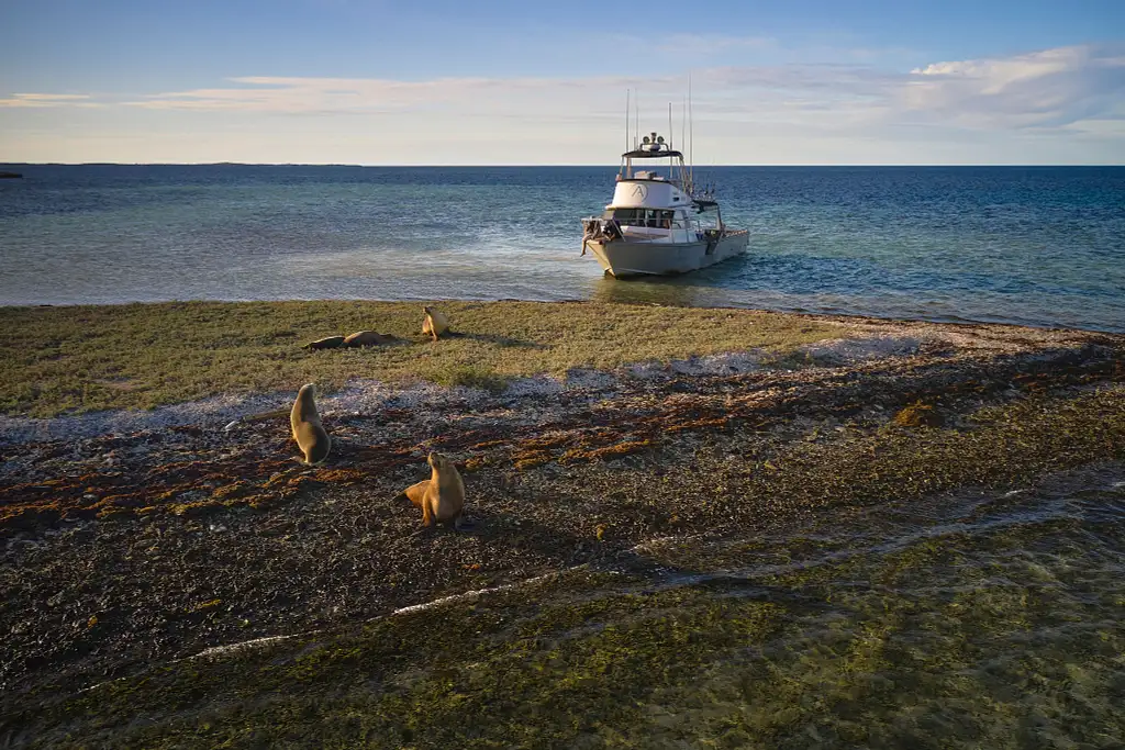 'The Abrolhos Sea Shack' 3-Day Liveaboard Charter Ex. Geraldton