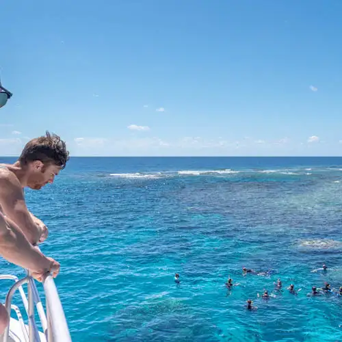 Calypso Outer Great Barrier Reef Snorkel Tour From Port Douglas