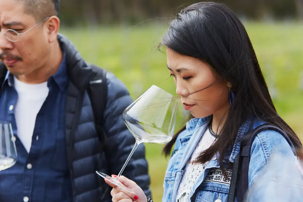 Premium Vineyard Wine & Food Tour - Margaret River