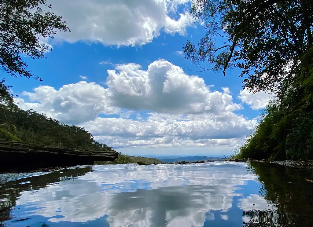 Springbrook Full Day Tour from Brisbane