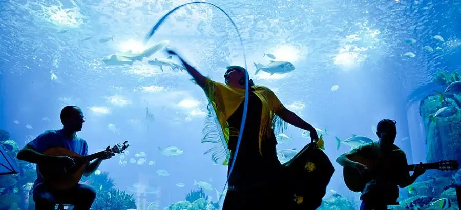 Lisbon Oceanarium Entrance Ticket